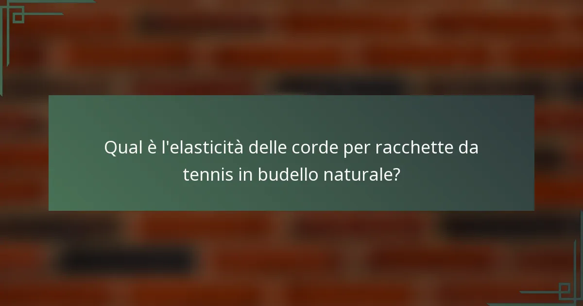Qual è l'elasticità delle corde per racchette da tennis in budello naturale?