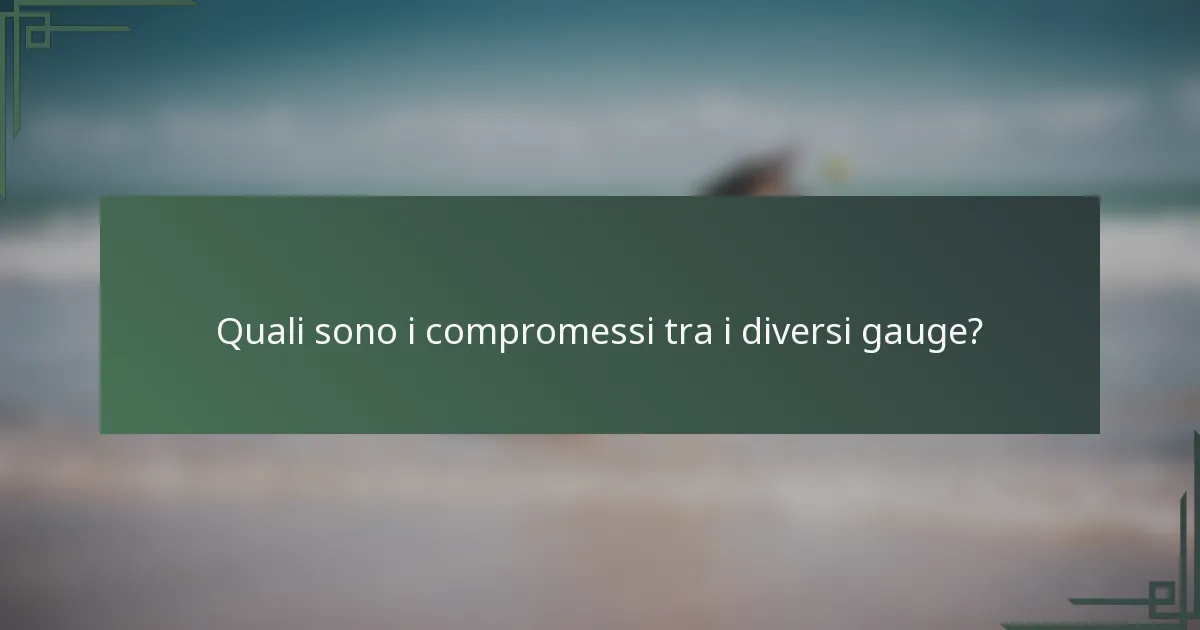 Quali sono i compromessi tra i diversi gauge?
