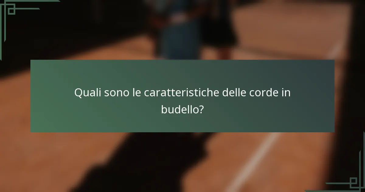 Quali sono le caratteristiche delle corde in budello?
